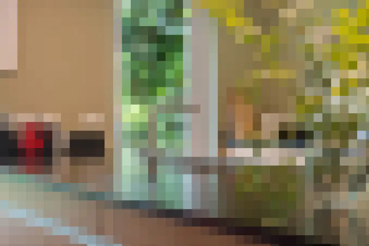Hazelaarstraat 5 Huissen thumbnail 15