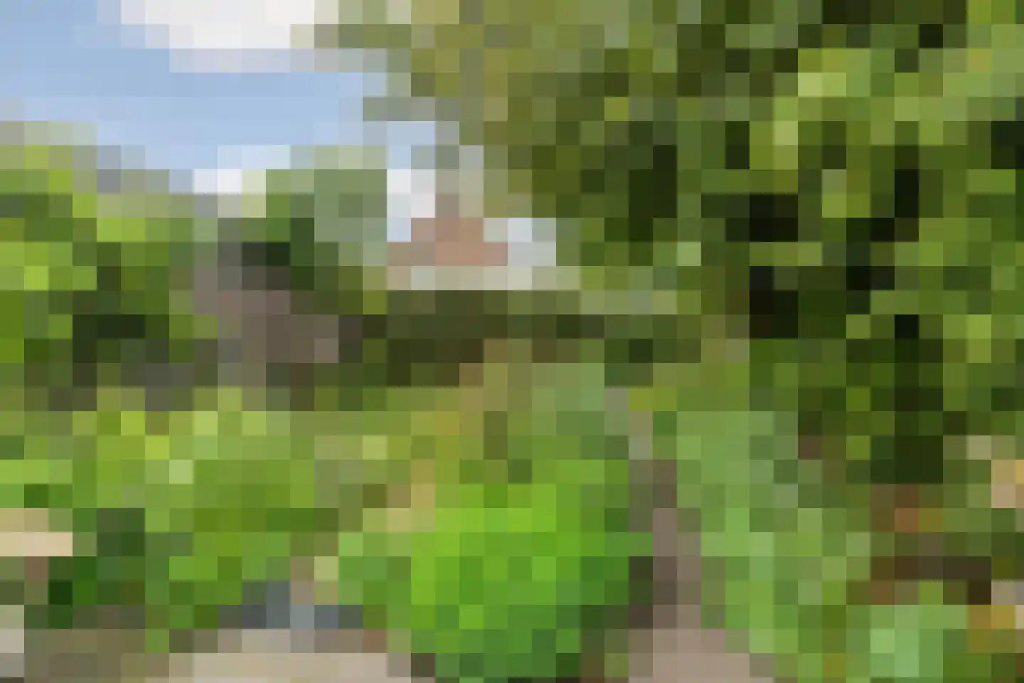 Hazelaarstraat 5 Huissen thumbnail 52