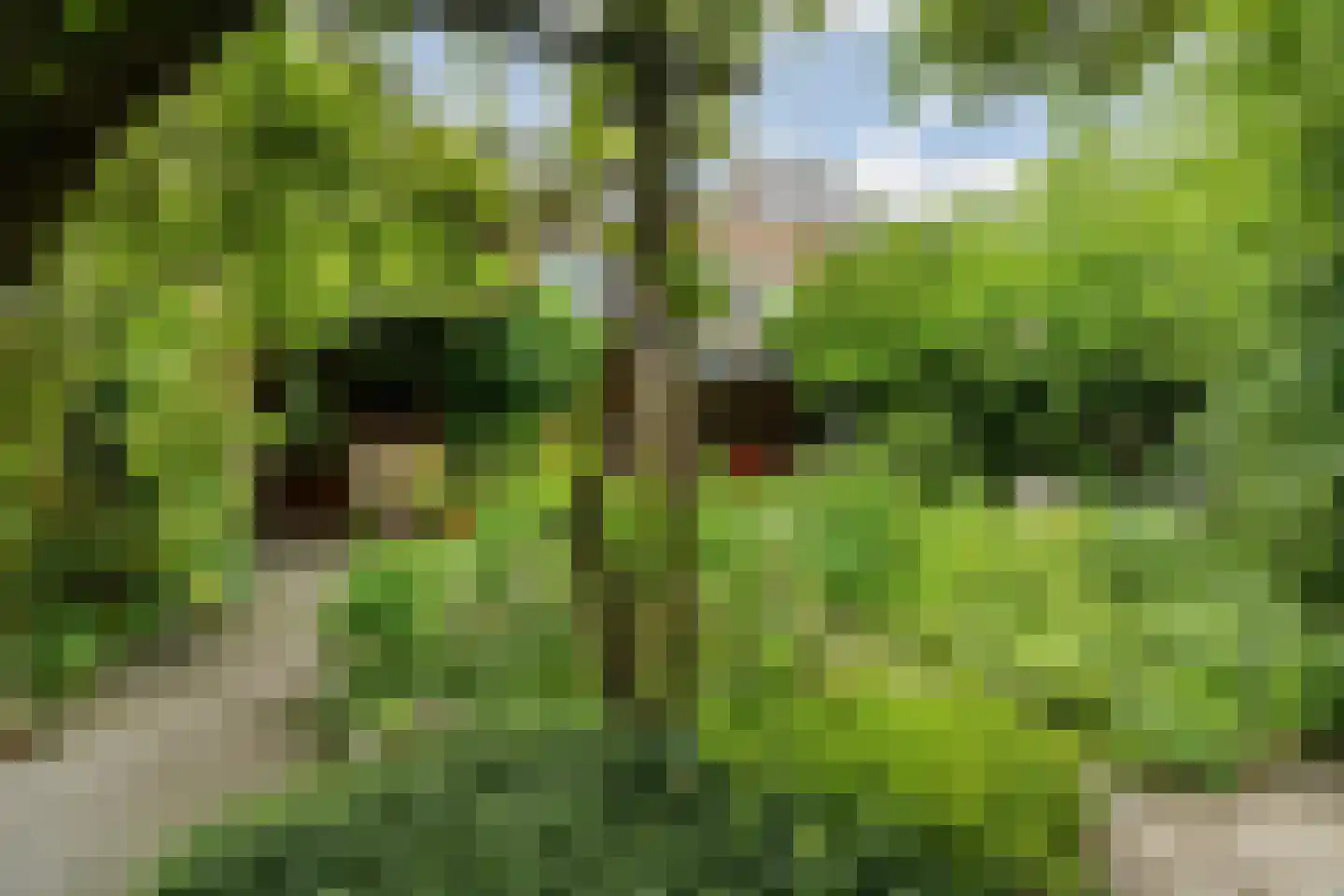 Hazelaarstraat 5 Huissen thumbnail 55