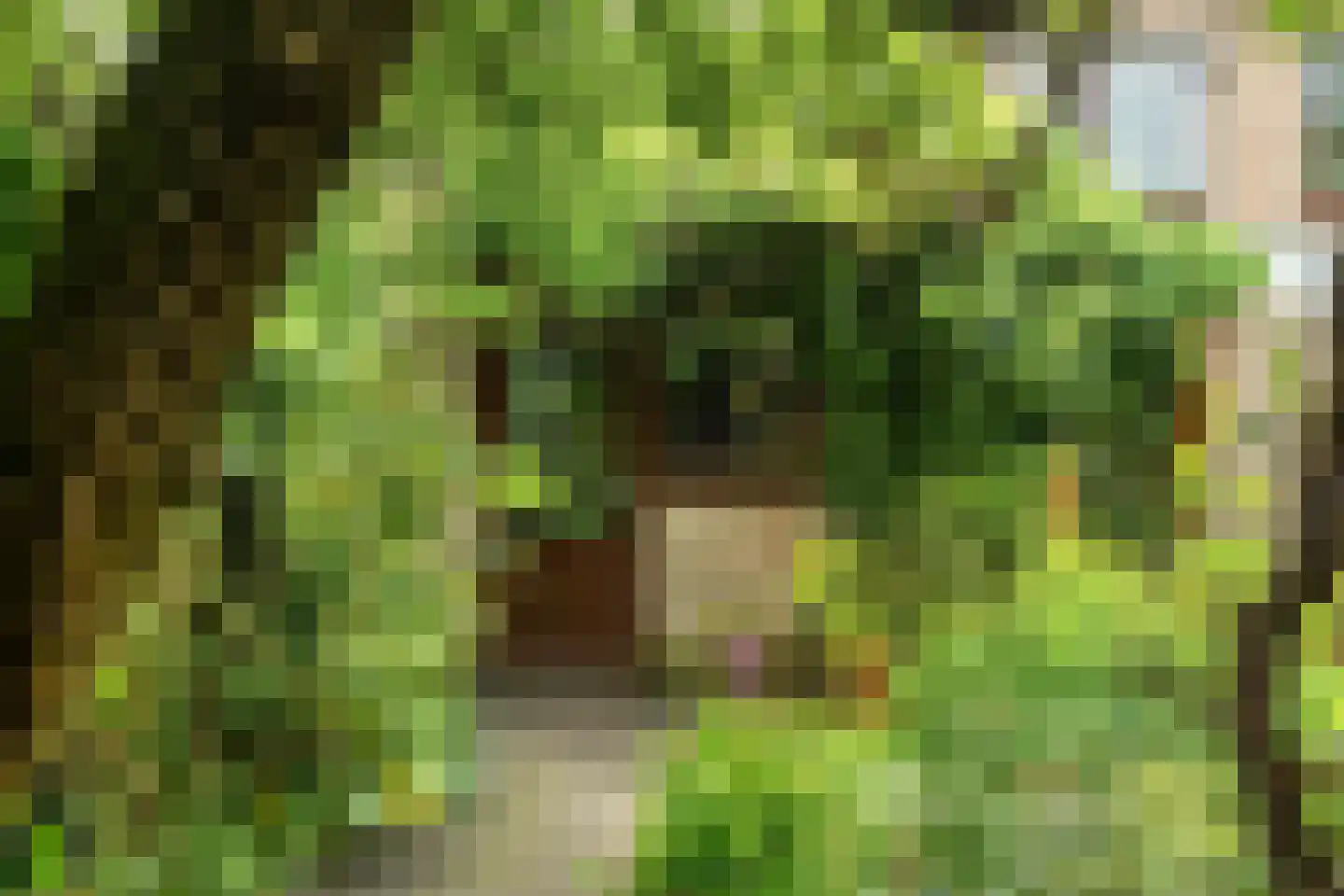 Hazelaarstraat 5 Huissen thumbnail 57