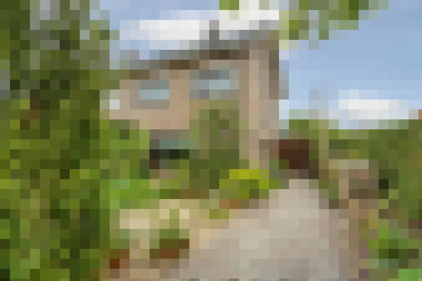 Hazelaarstraat 5 Huissen thumbnail 61