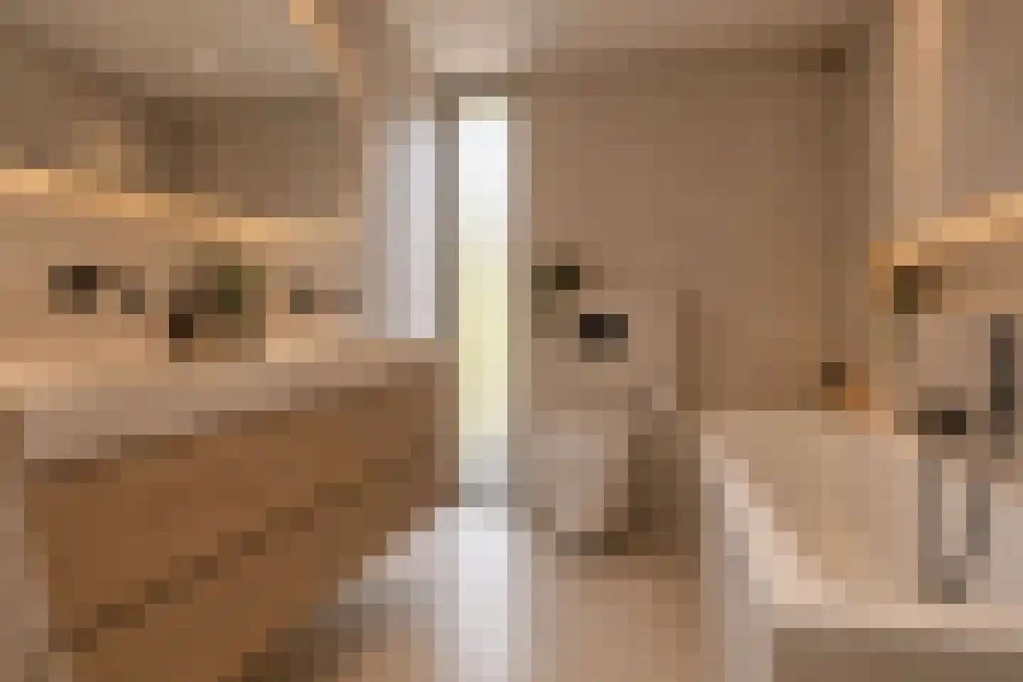 Hazelaarstraat 6 Ell thumbnail 37
