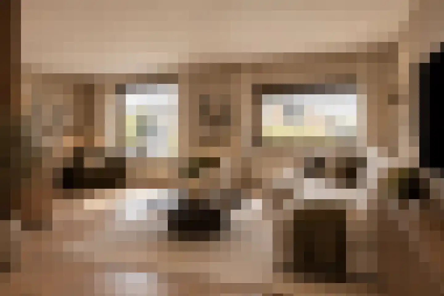 Hazelaarstraat 6 Ell thumbnail 4