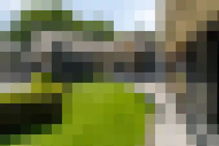 Hazelaarstraat 6 St. Willebrord thumbnail 32