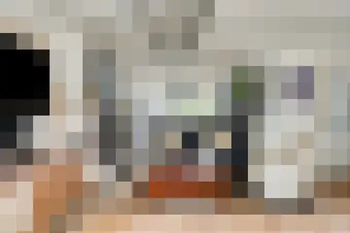 Hazelaarstraat 6 St. Willebrord thumbnail 9