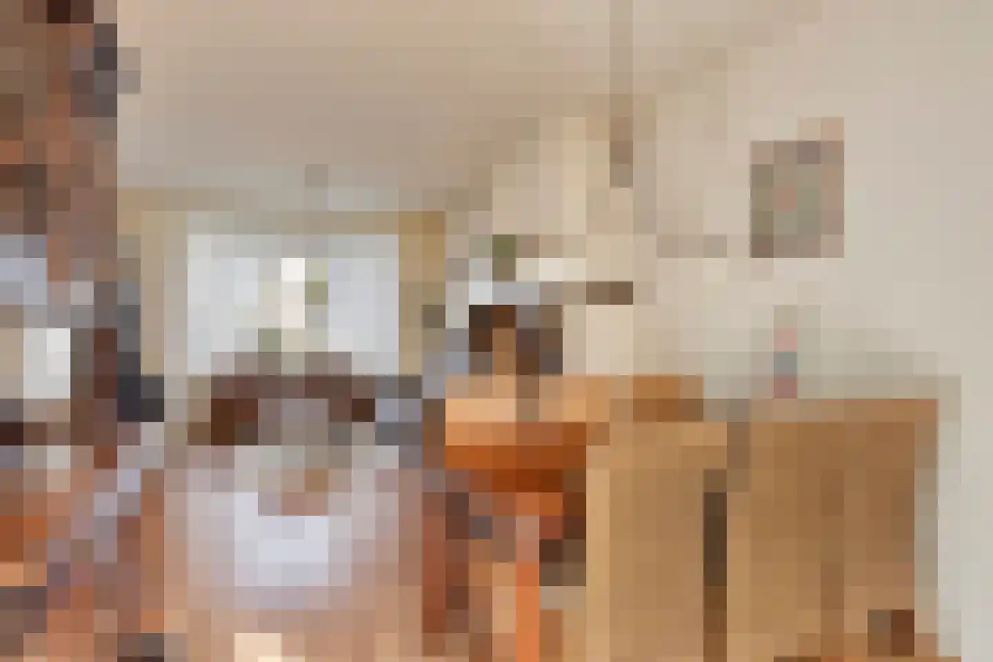 Hazelaarstraat 8 Fijnaart thumbnail 16