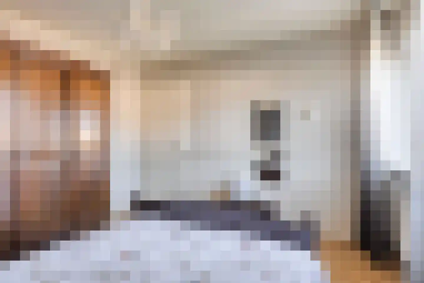 Hazelaarstraat 8 Fijnaart thumbnail 25