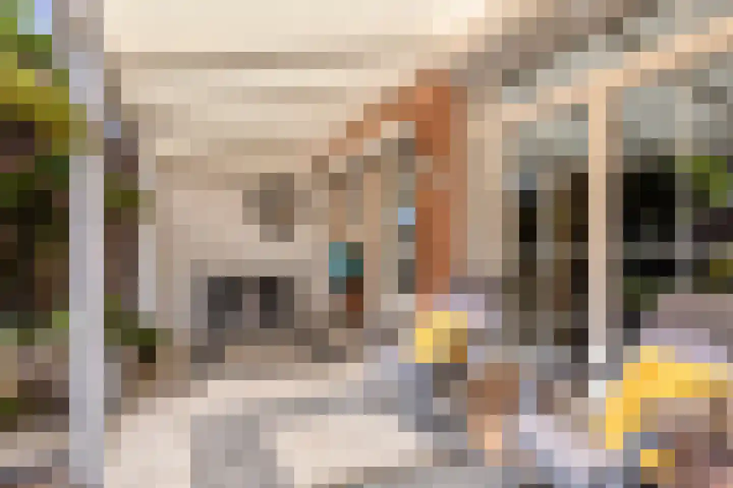 Hazelaarstraat 8 Fijnaart thumbnail 39