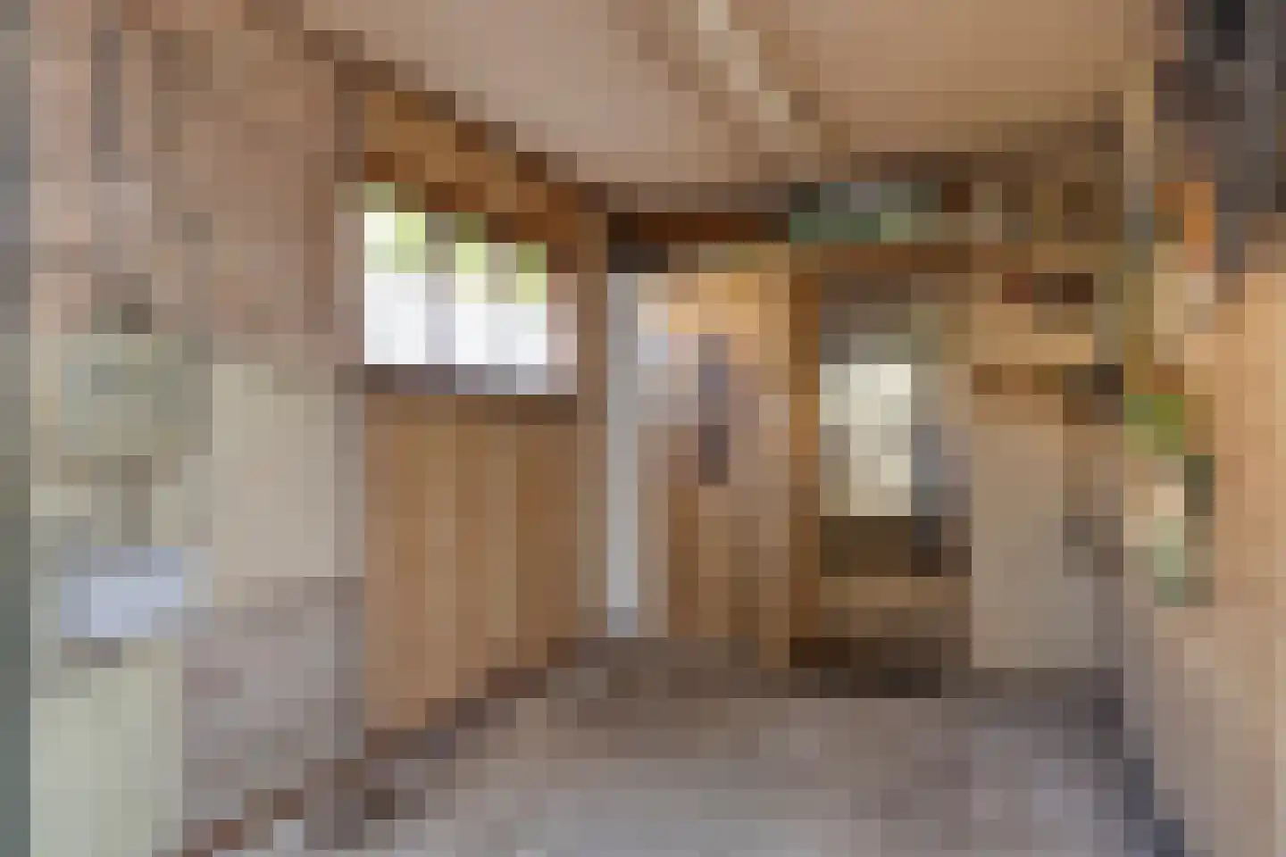 Hazelaarstraat 8 Fijnaart thumbnail 47