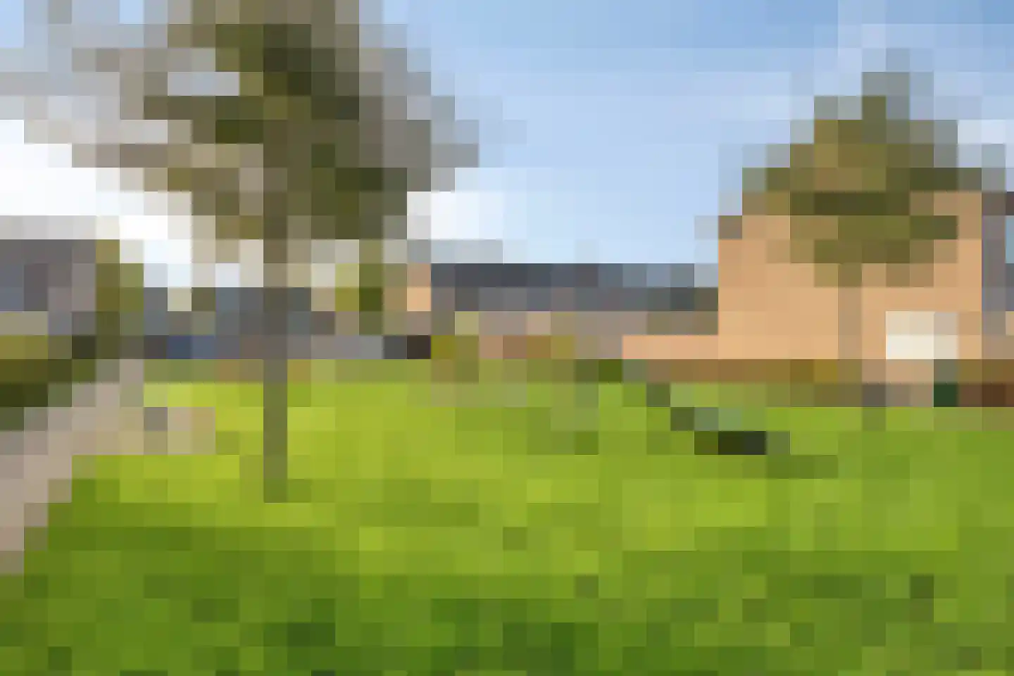 Hazelaarstraat 8 Fijnaart thumbnail 51