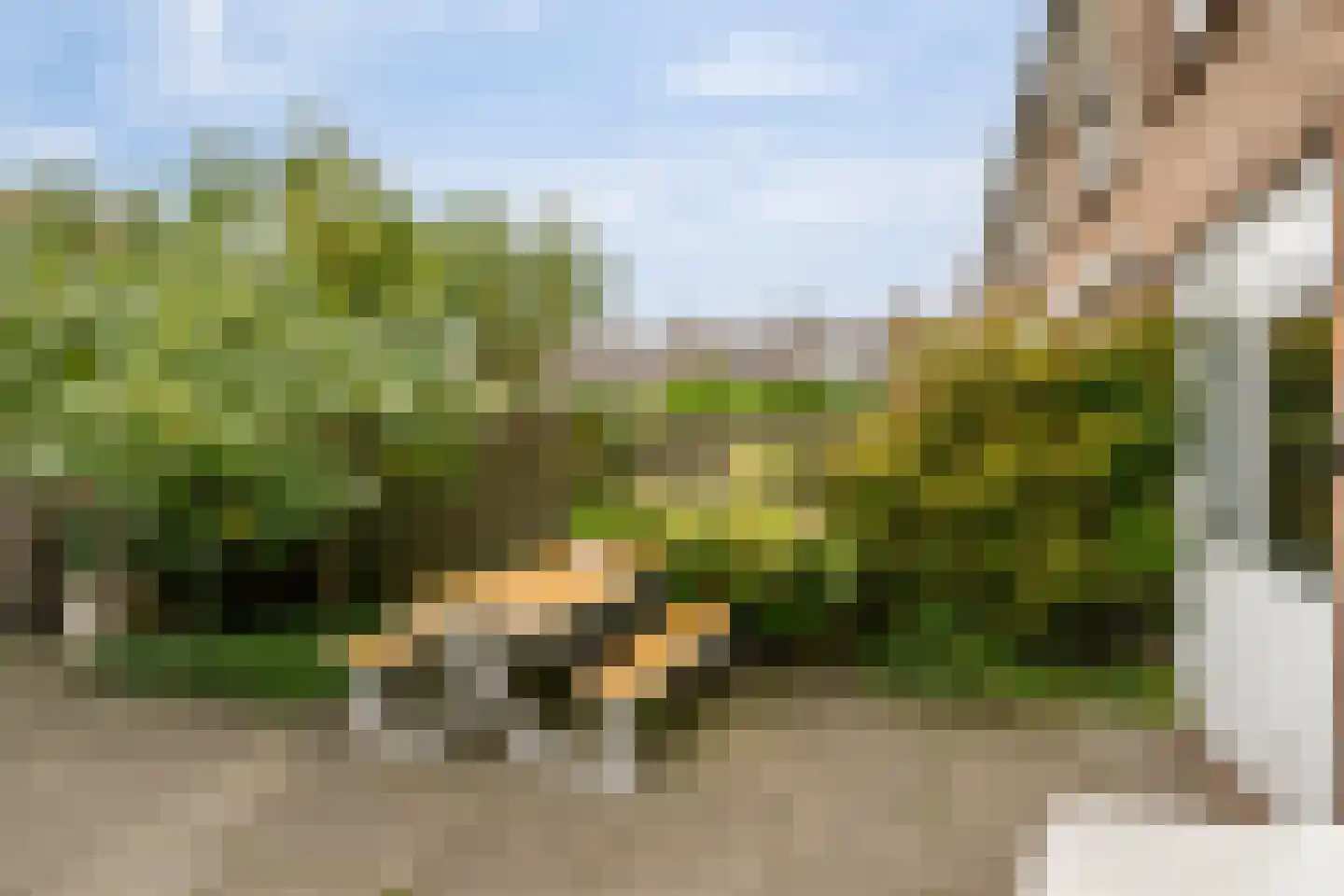 Hazelaarstraat 9 Monster thumbnail 14