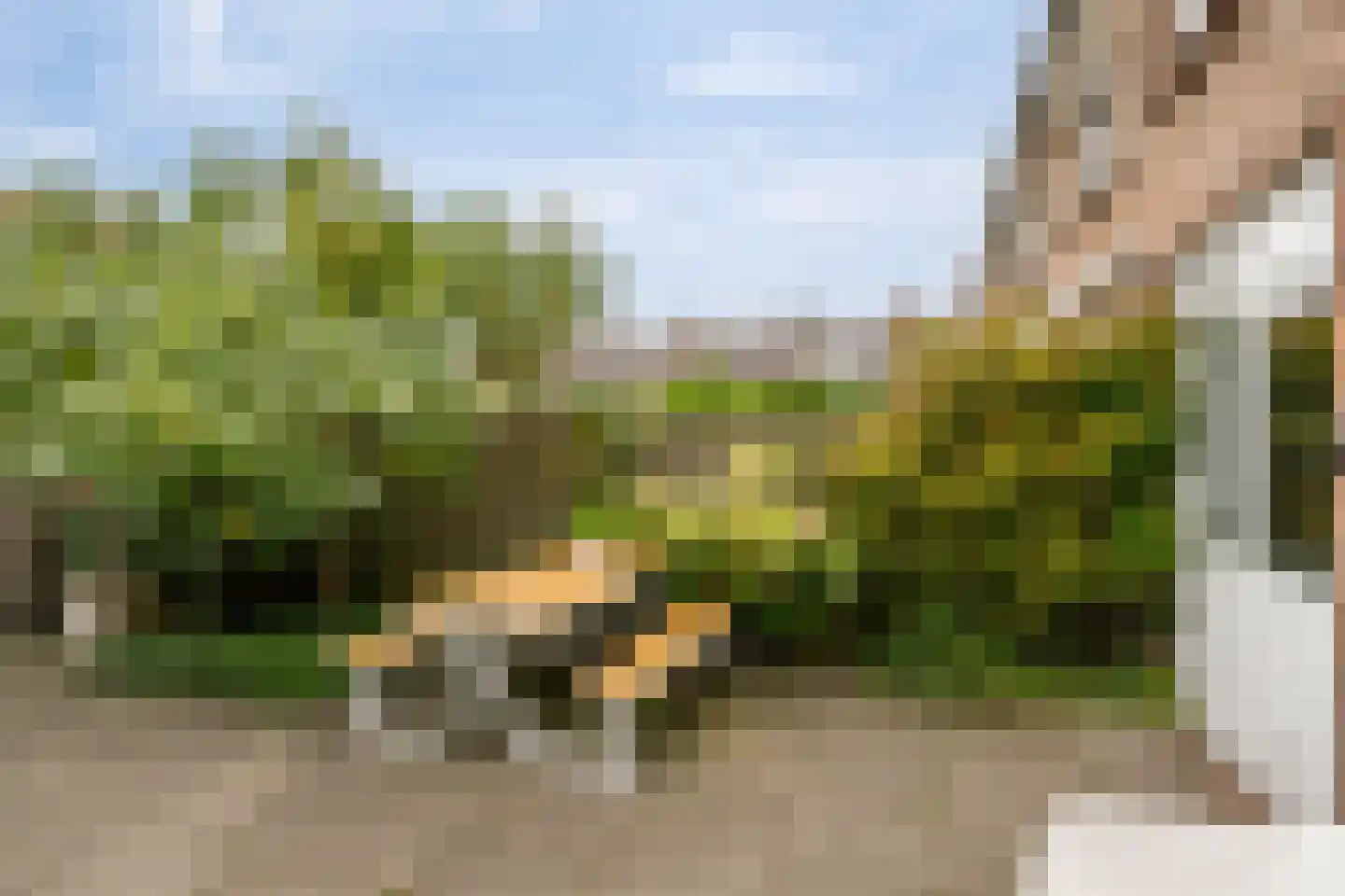 Hazelaarstraat 9 Monster thumbnail 18