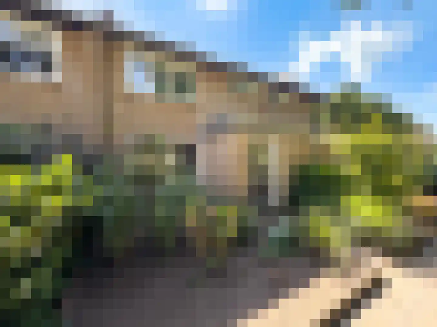 Hazelaartje 11 Zundert