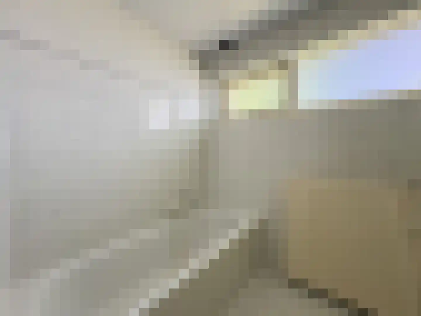Hazelaartje 11 Zundert thumbnail 21