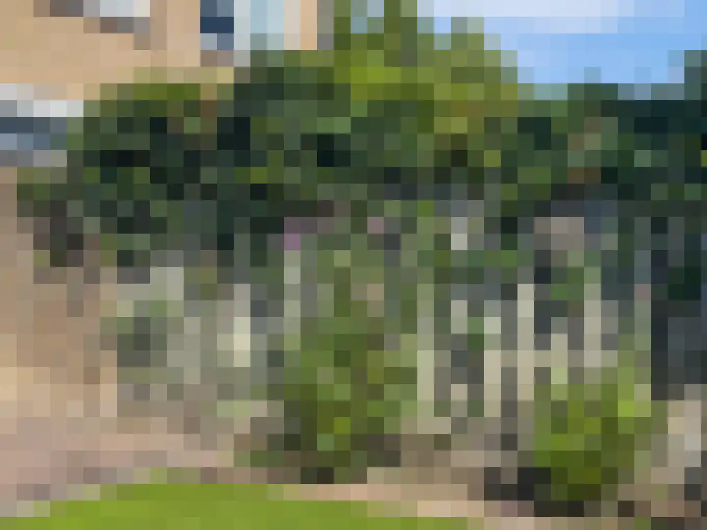 Hazelaartje 11 Zundert thumbnail 26