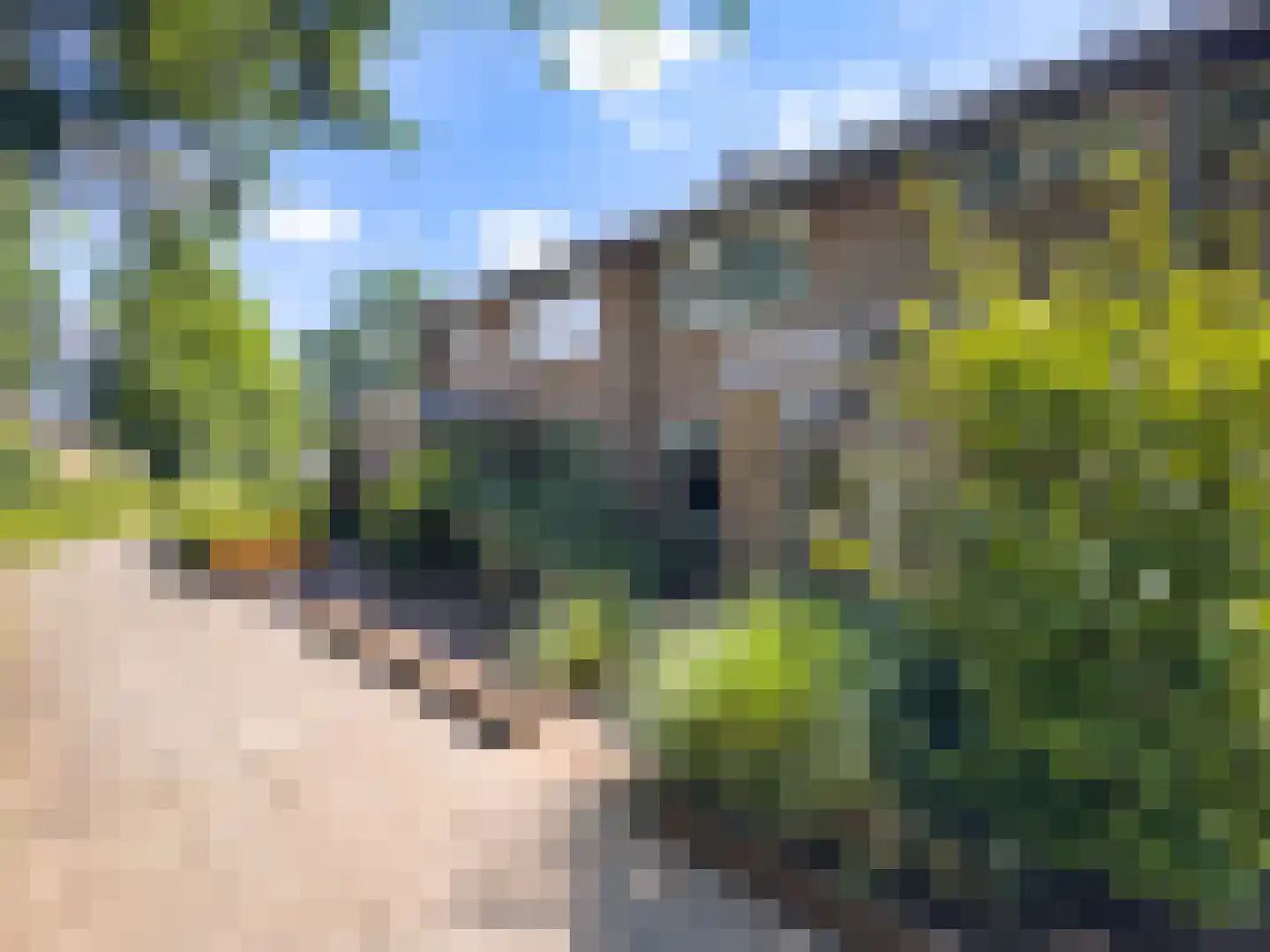 Hazelaartje 11 Zundert thumbnail 32