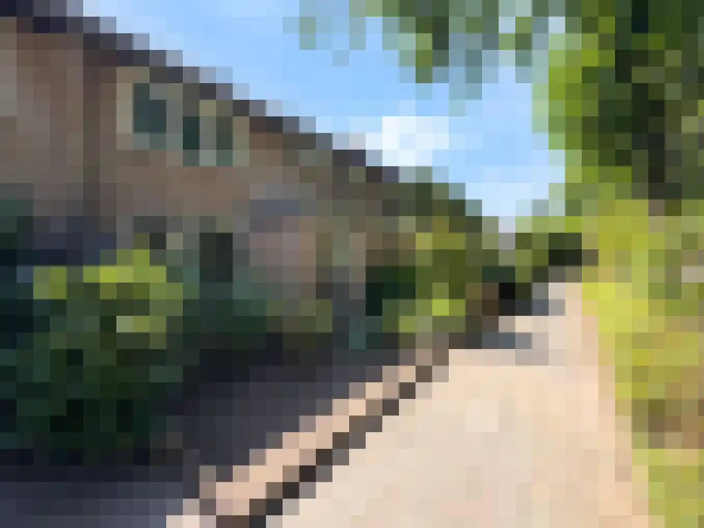 Hazelaartje 11 Zundert thumbnail 33