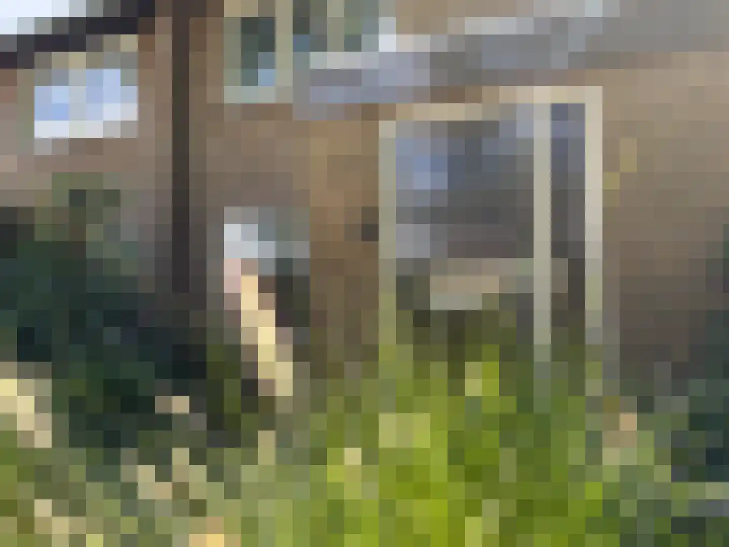 Hazelaartje 11 Zundert thumbnail 7