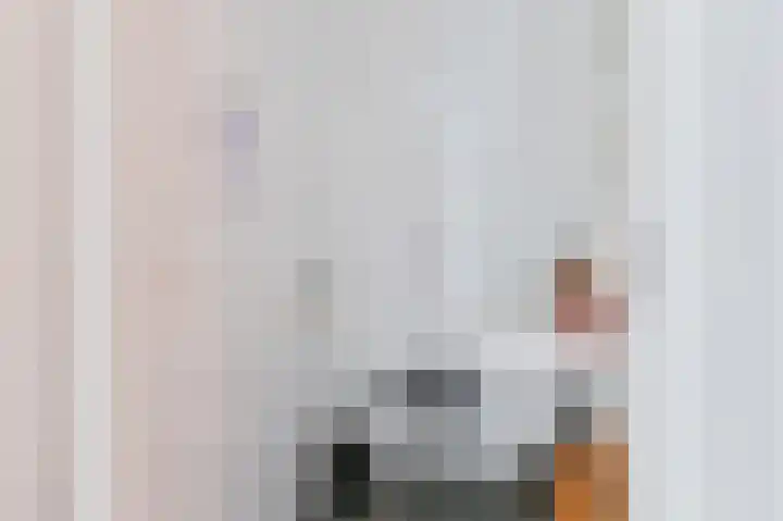 Hazelaarwal 19 Emmen thumbnail 10