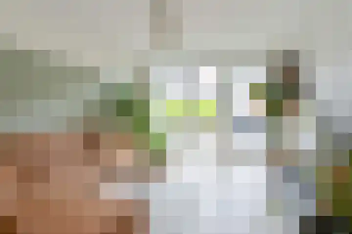 Hazelaarwal 19 Emmen thumbnail 11