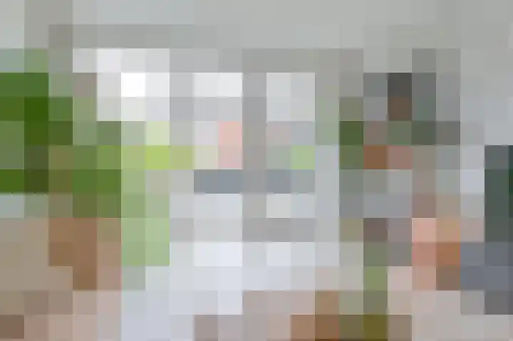 Hazelaarwal 19 Emmen thumbnail 18