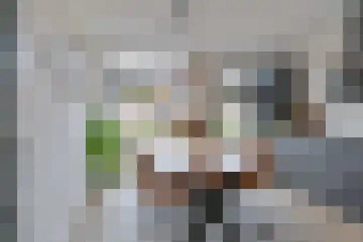 Hazelaarwal 19 Emmen thumbnail 19