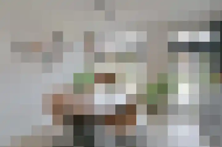 Hazelaarwal 19 Emmen thumbnail 20