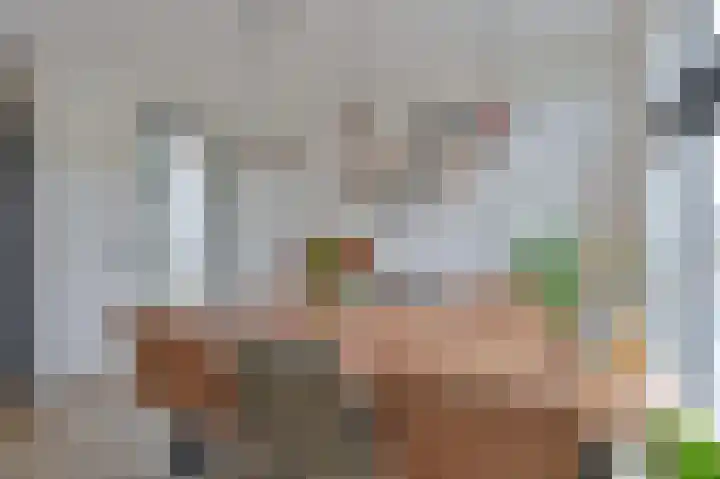 Hazelaarwal 19 Emmen thumbnail 21