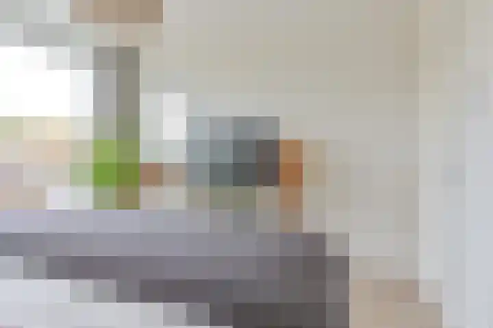 Hazelaarwal 19 Emmen thumbnail 33