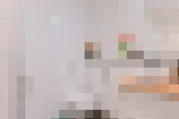 Hazelaarwal 19 Emmen thumbnail 37