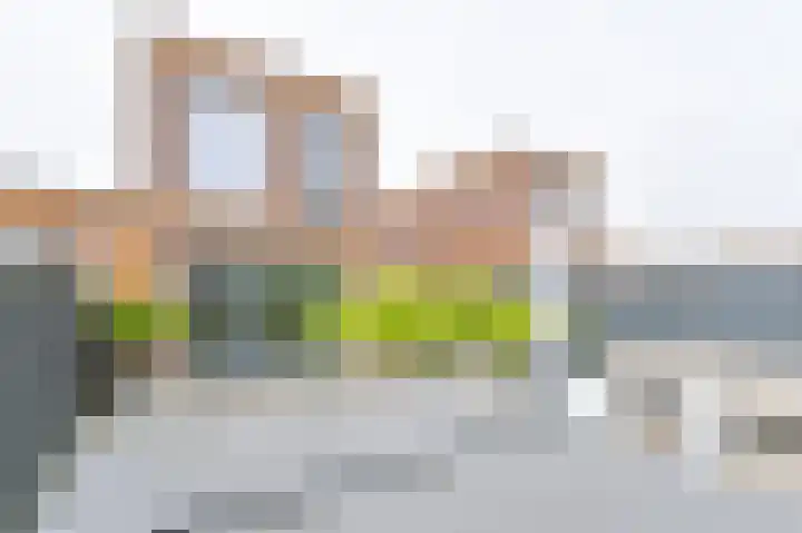Hazelaarwal 19 Emmen thumbnail 55
