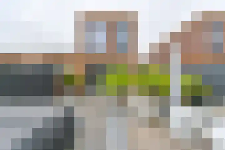 Hazelaarwal 19 Emmen thumbnail 58