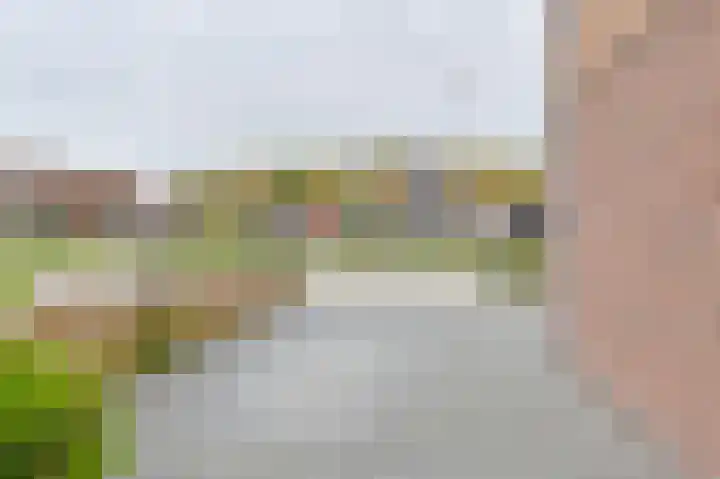 Hazelaarwal 19 Emmen thumbnail 6