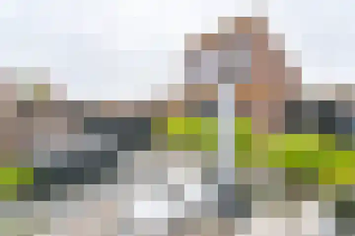 Hazelaarwal 19 Emmen thumbnail 60