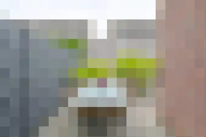 Hazelaarwal 19 Emmen thumbnail 63
