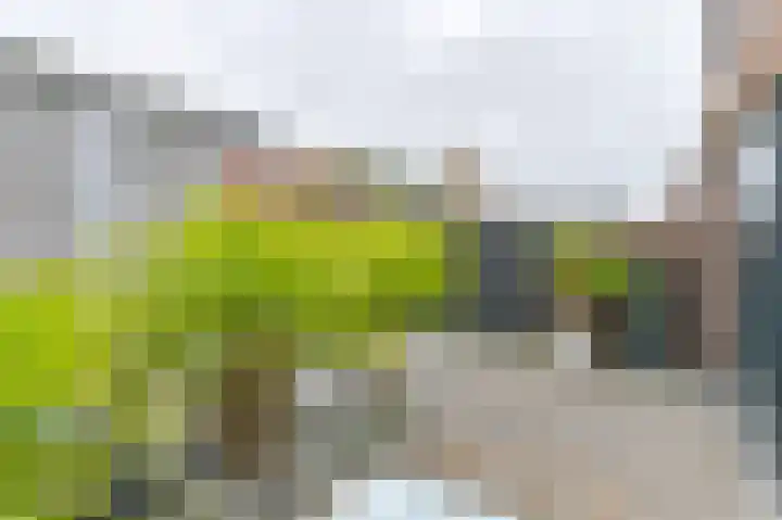 Hazelaarwal 19 Emmen thumbnail 64