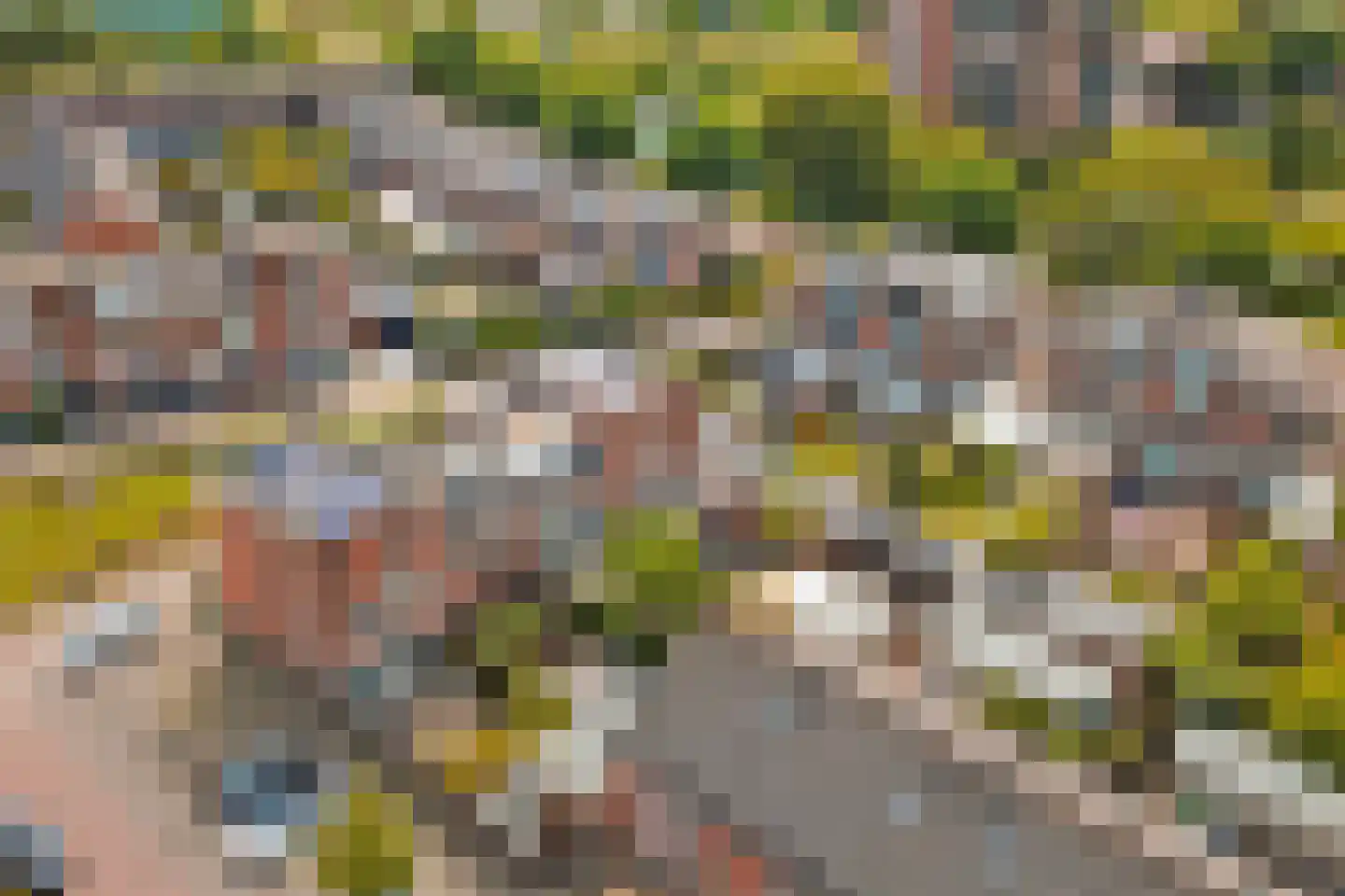 Hazelaarwede 19 Barendrecht thumbnail 37