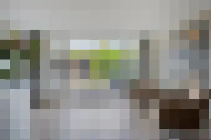 Hazelaarweg 1 Hoogezand thumbnail 11