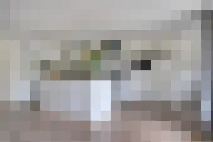 Hazelaarweg 1 Hoogezand thumbnail 13
