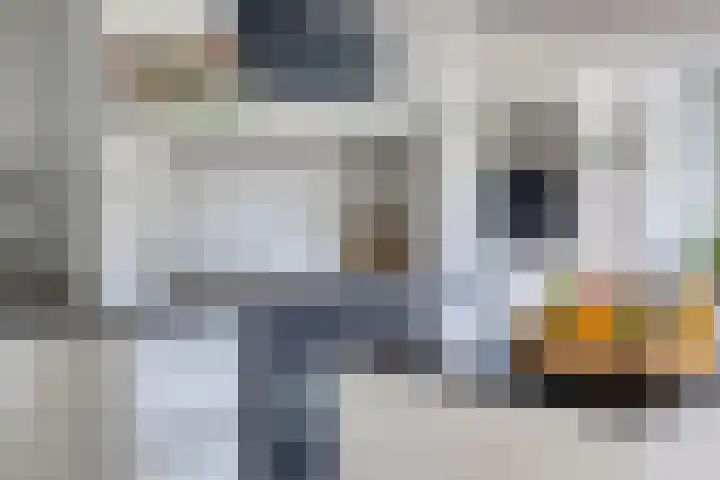 Hazelaarweg 1 Hoogezand thumbnail 17