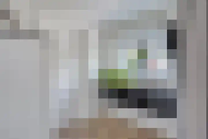 Hazelaarweg 1 Hoogezand thumbnail 19