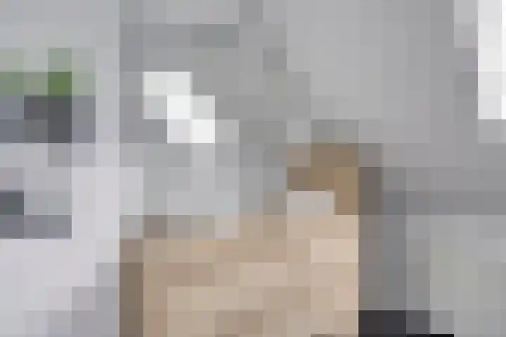 Hazelaarweg 1 Hoogezand thumbnail 34