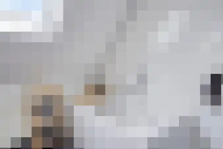 Hazelaarweg 1 Hoogezand thumbnail 35