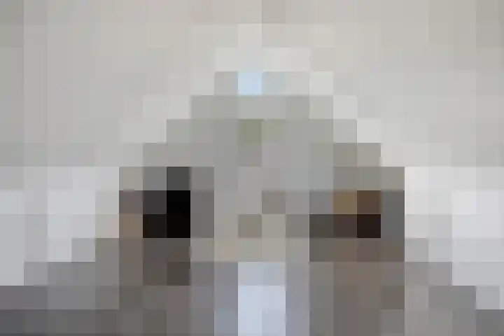 Hazelaarweg 1 Hoogezand thumbnail 37