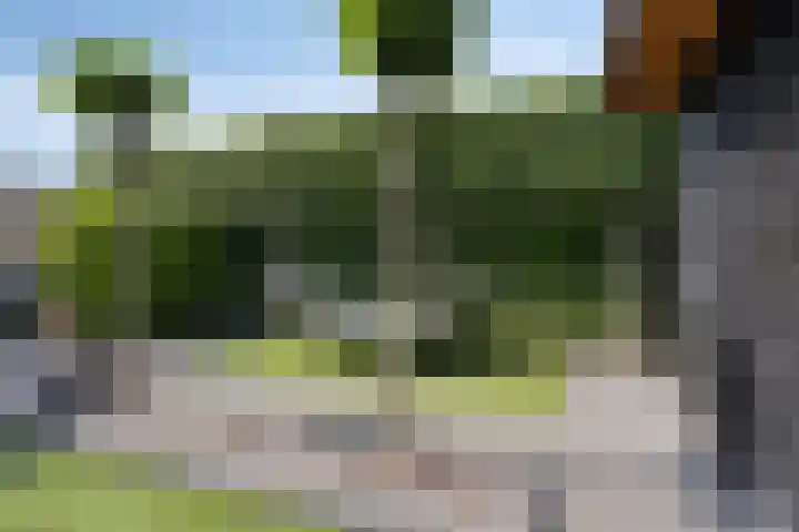 Hazelaarweg 1 Hoogezand thumbnail 41