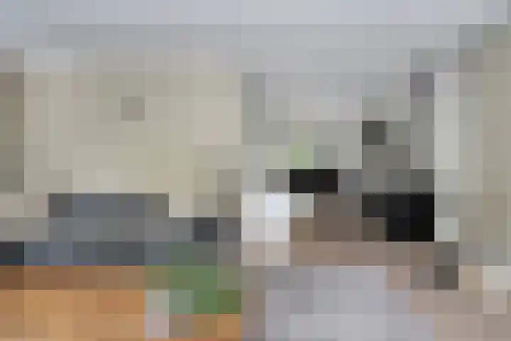 Hazelaarweg 1 Hoogezand thumbnail 5