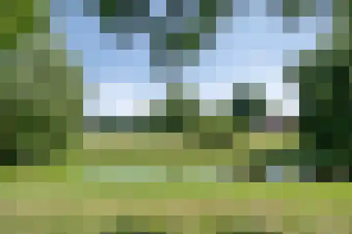 Hazelaarweg 1 Hoogezand thumbnail 52