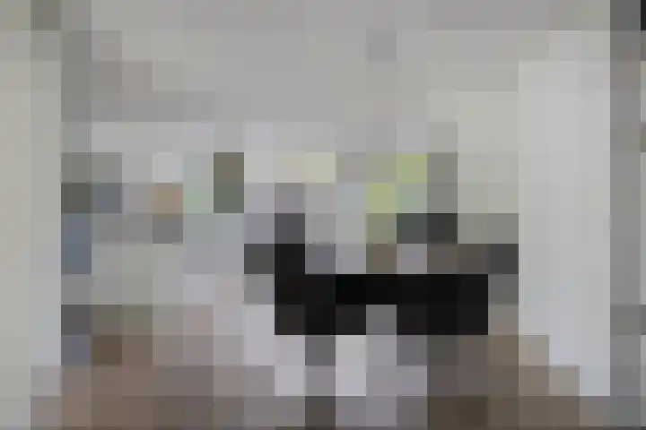 Hazelaarweg 1 Hoogezand thumbnail 8