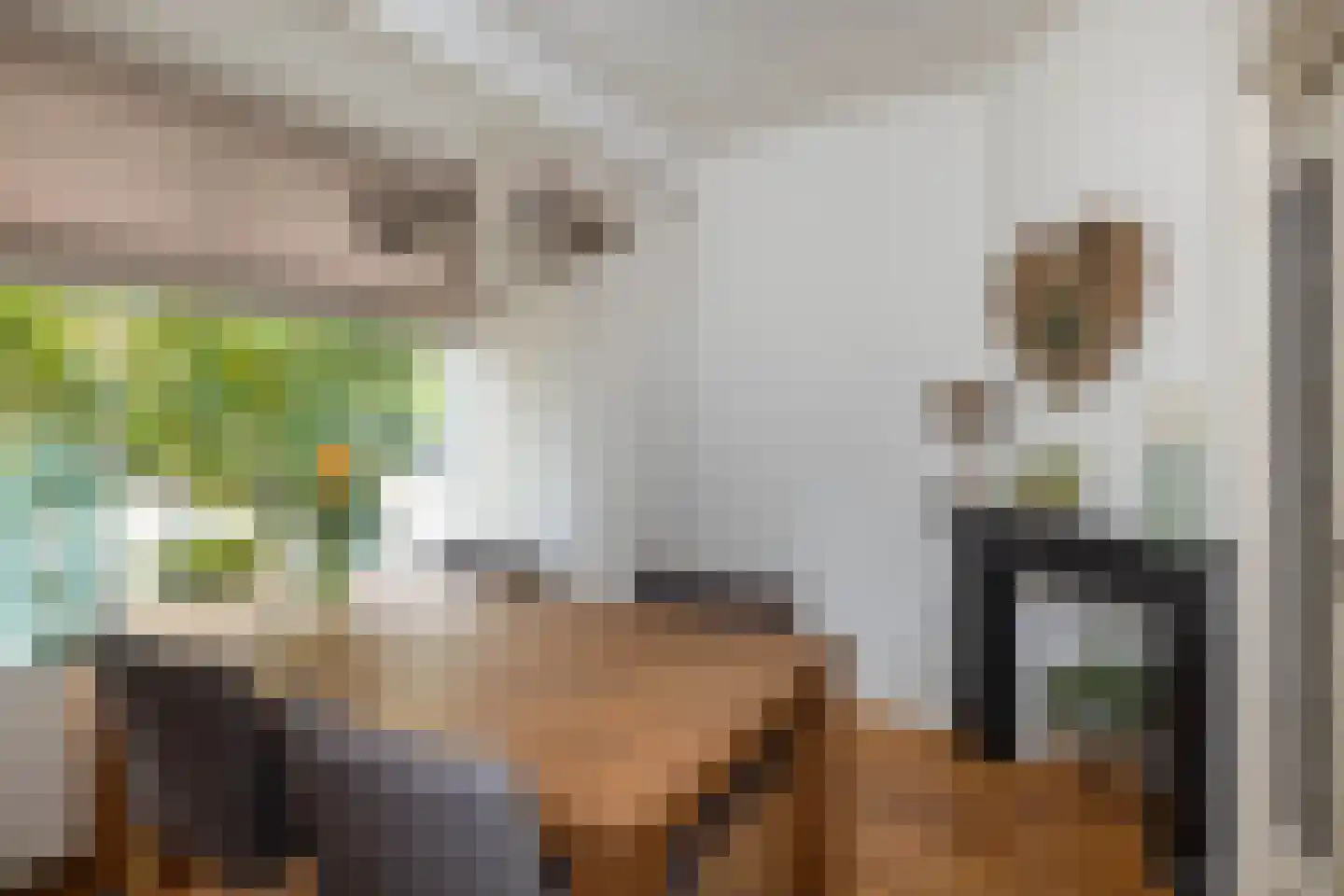 Hazelaarweg 25 Hengelo thumbnail 12