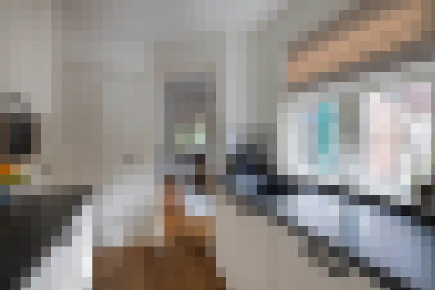 Hazelaarweg 25 Hengelo thumbnail 14